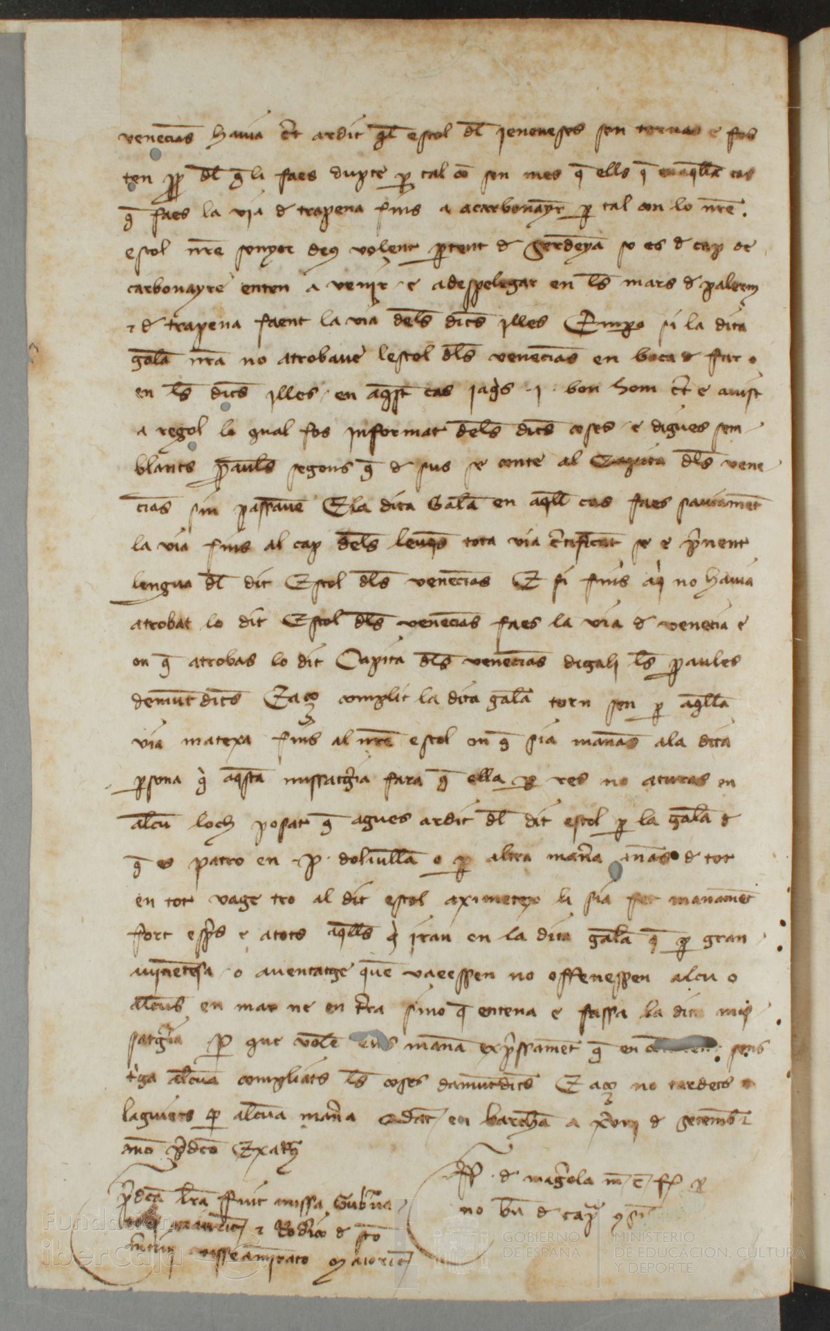 161v