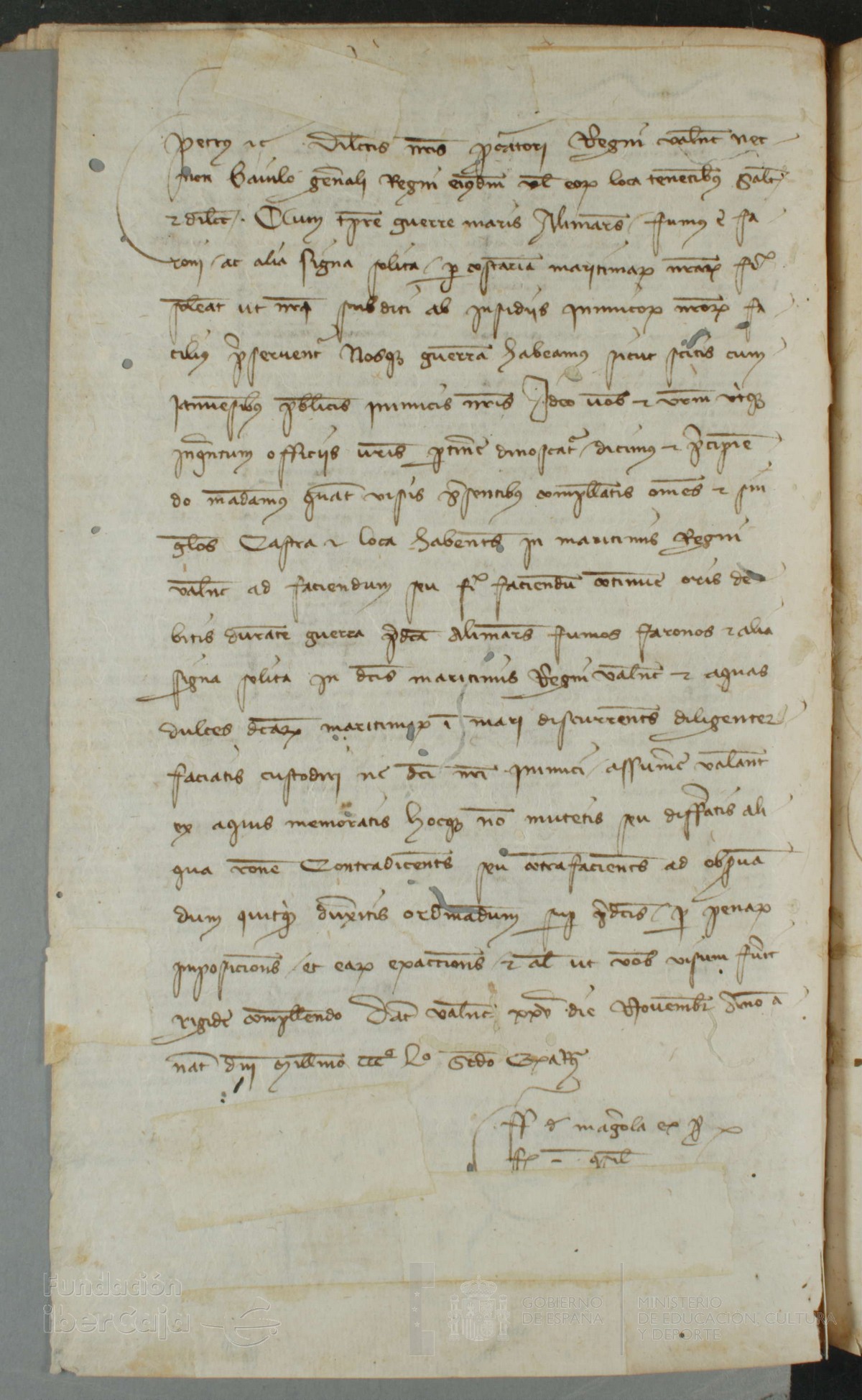 161v