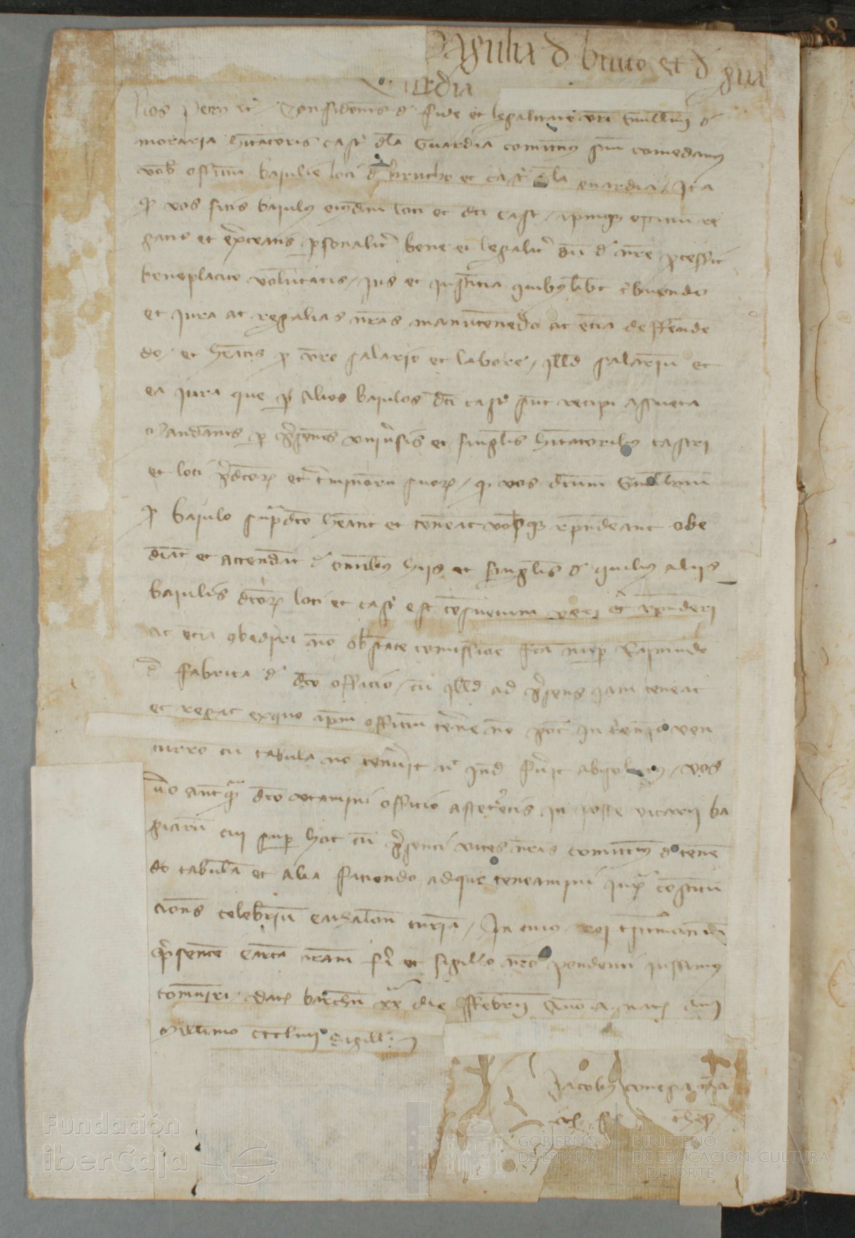 141v