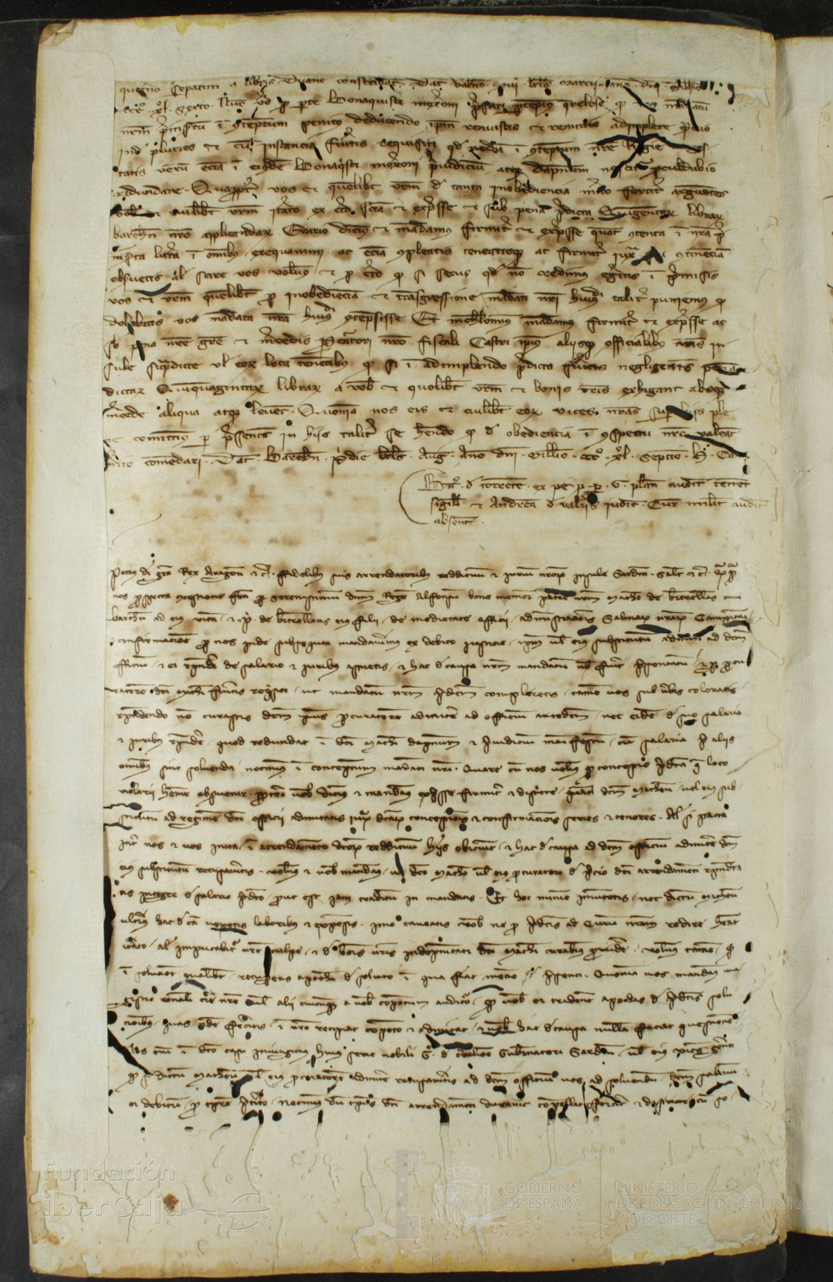 41v
