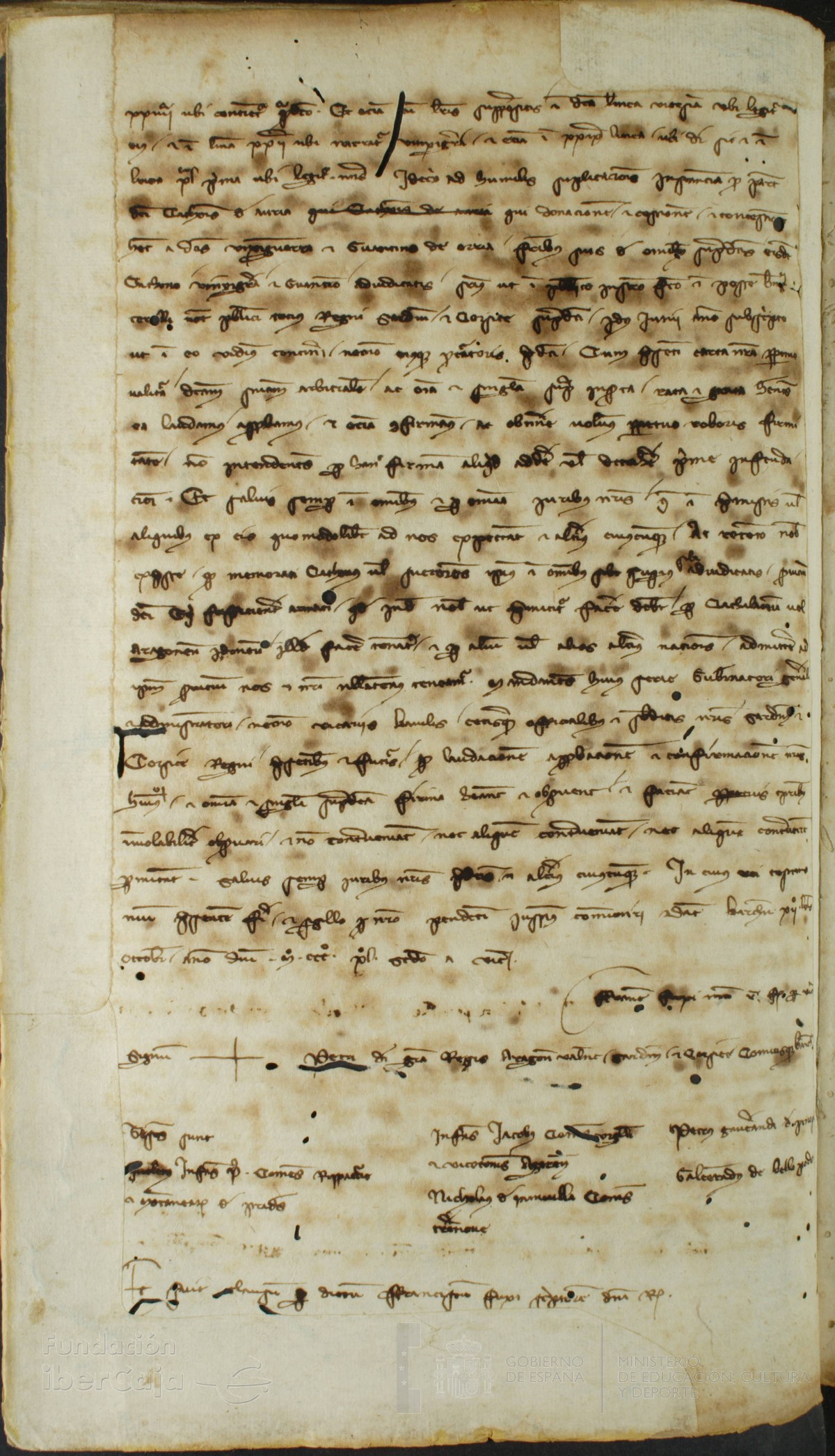 41v