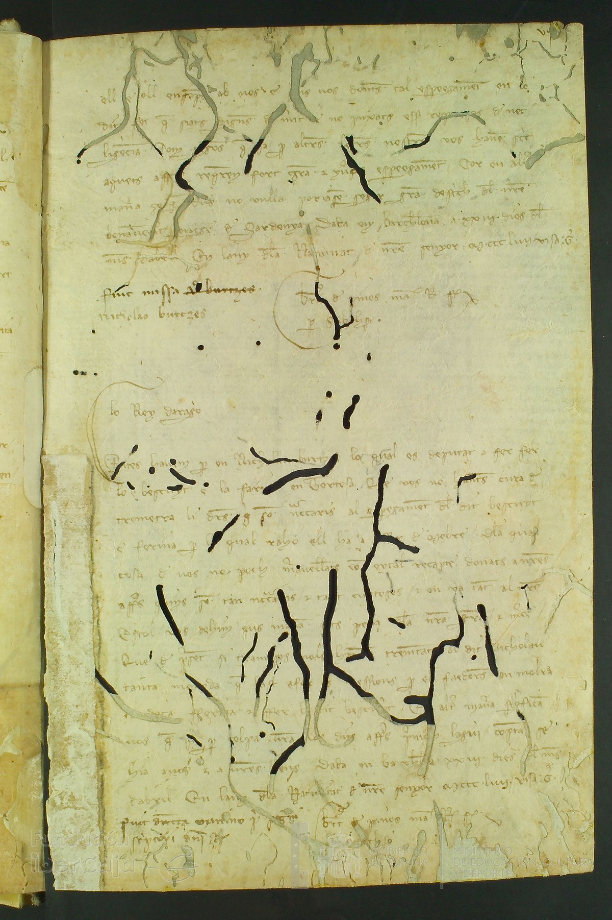 7r