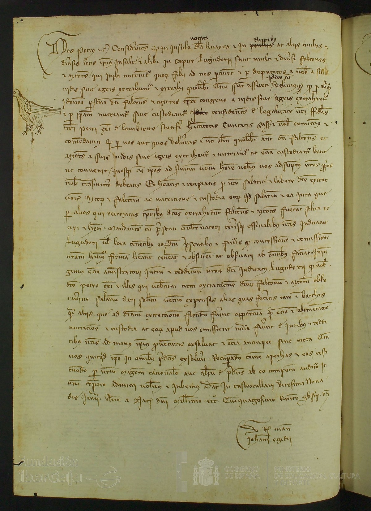 117v