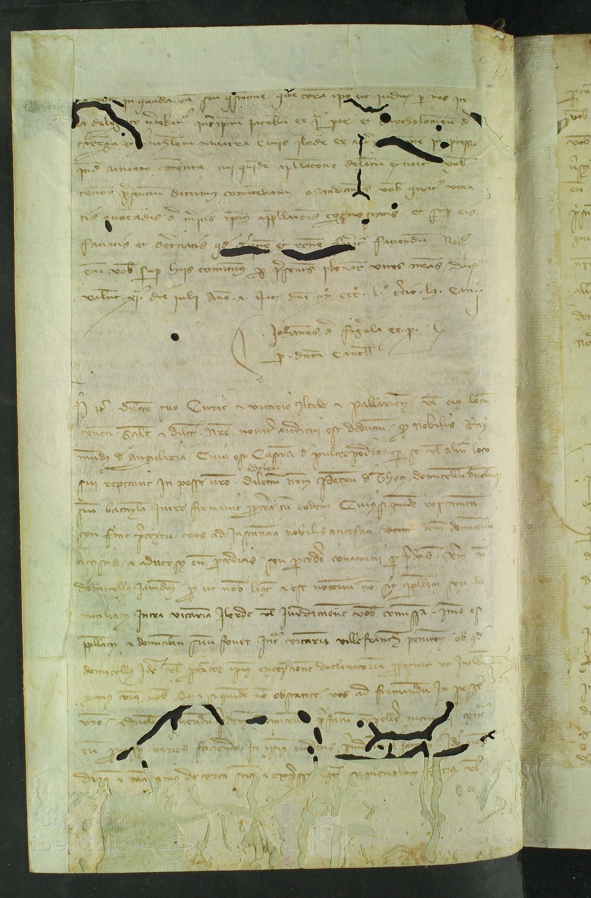 131v