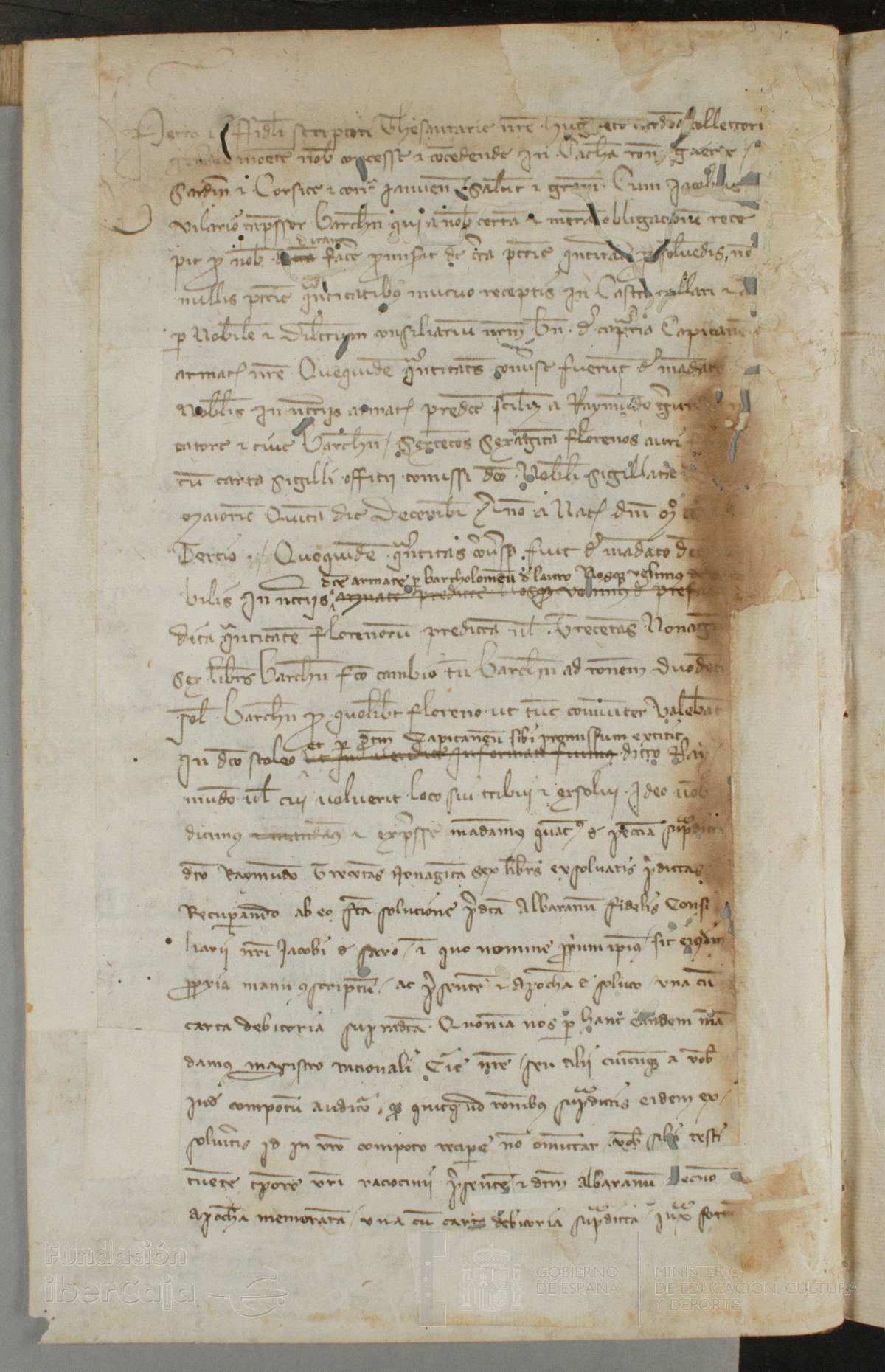 141v