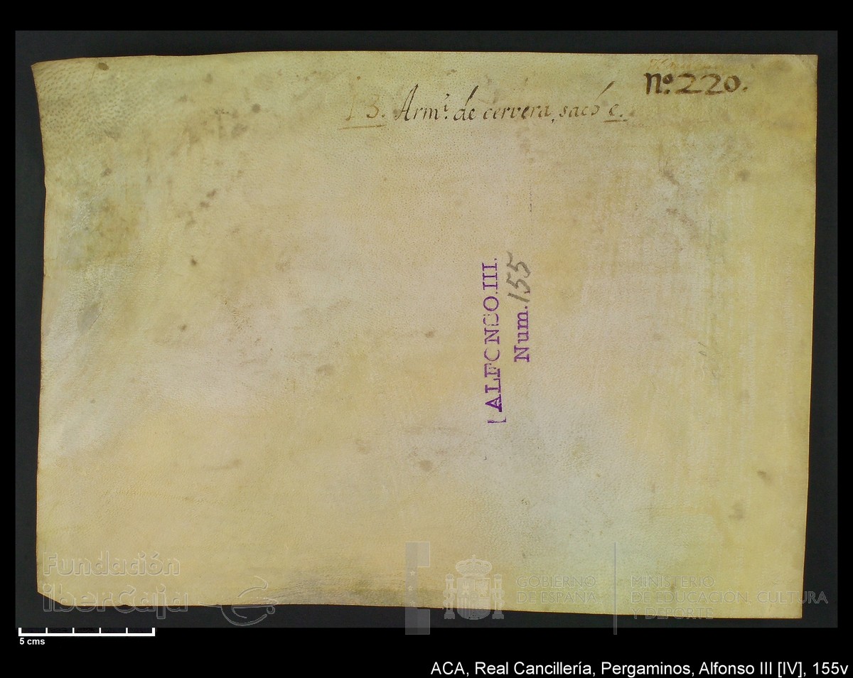 Carp.218,nº155v
