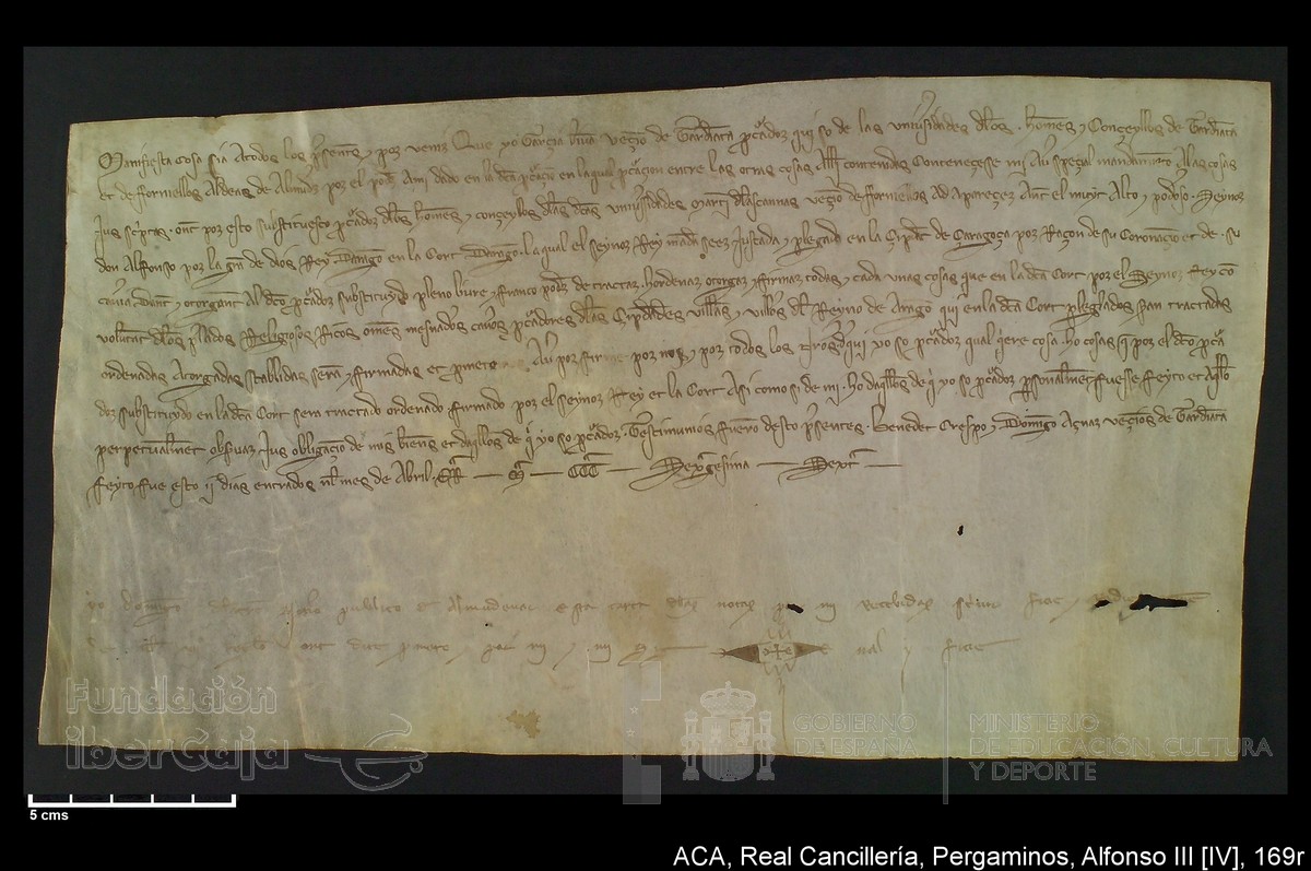 Carp.218,nº169r