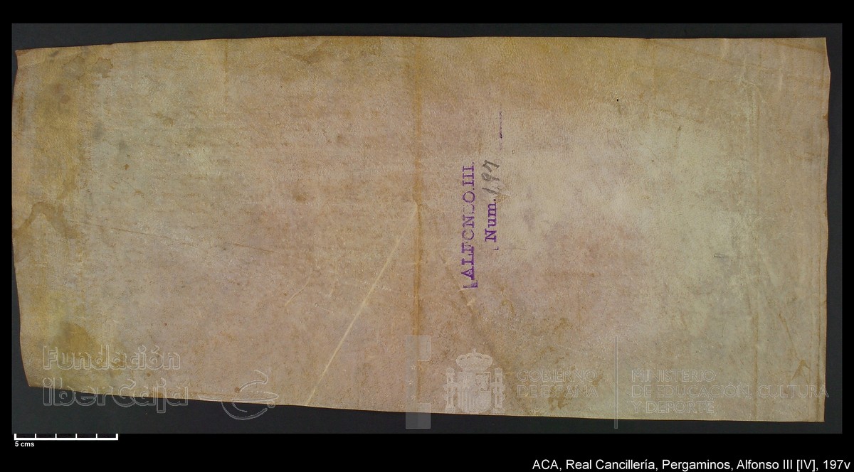 Carp.218,nº197v