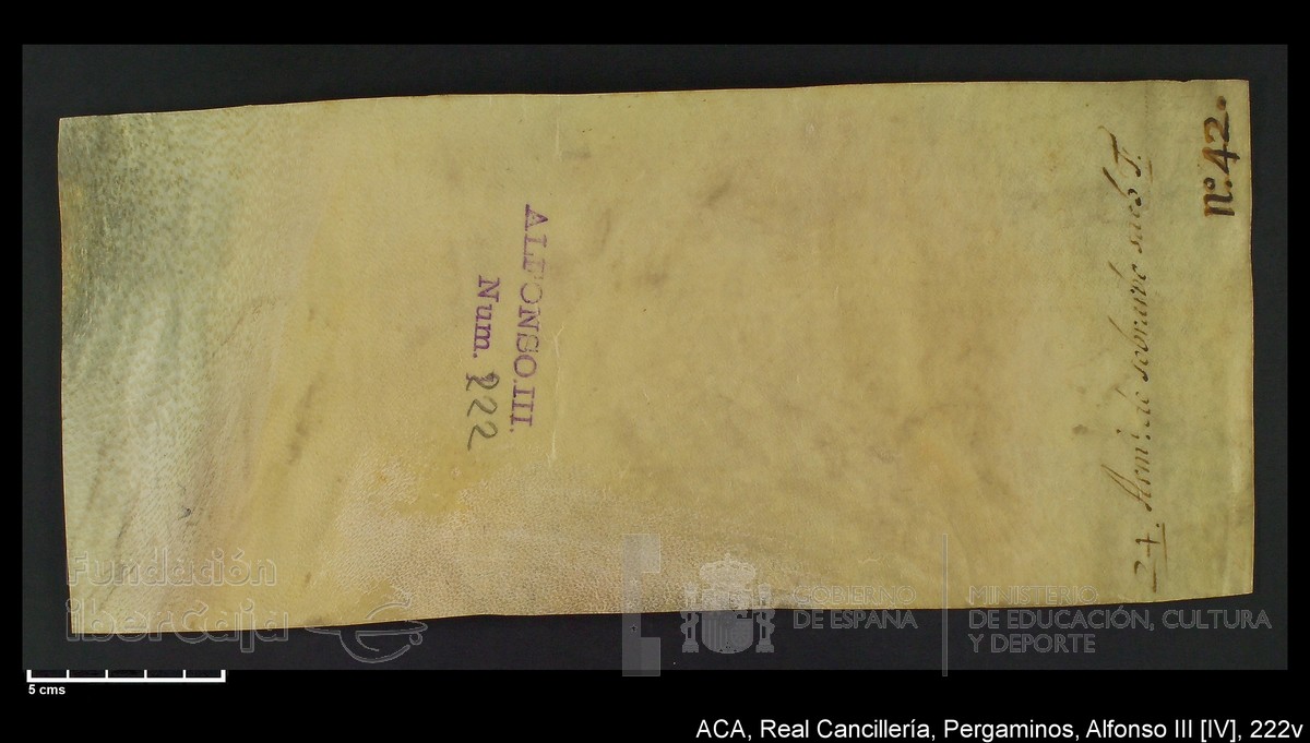 Carp.219,nº222v