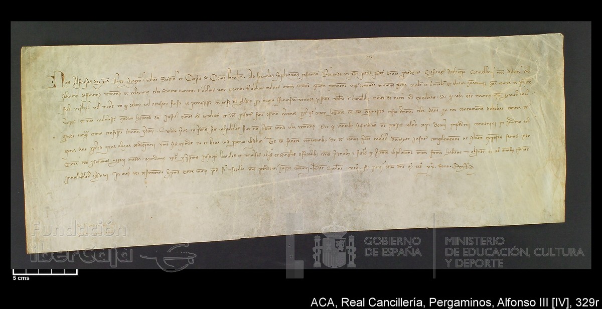 Carp.221,nº329r