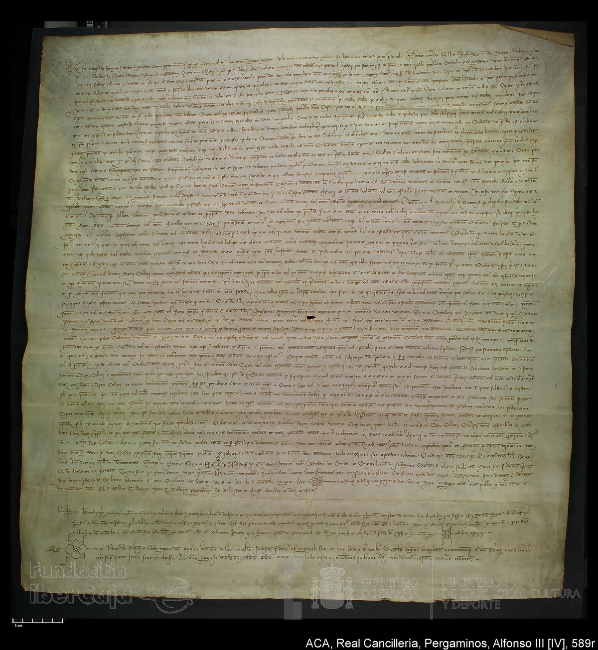 Carp.226,nº589r