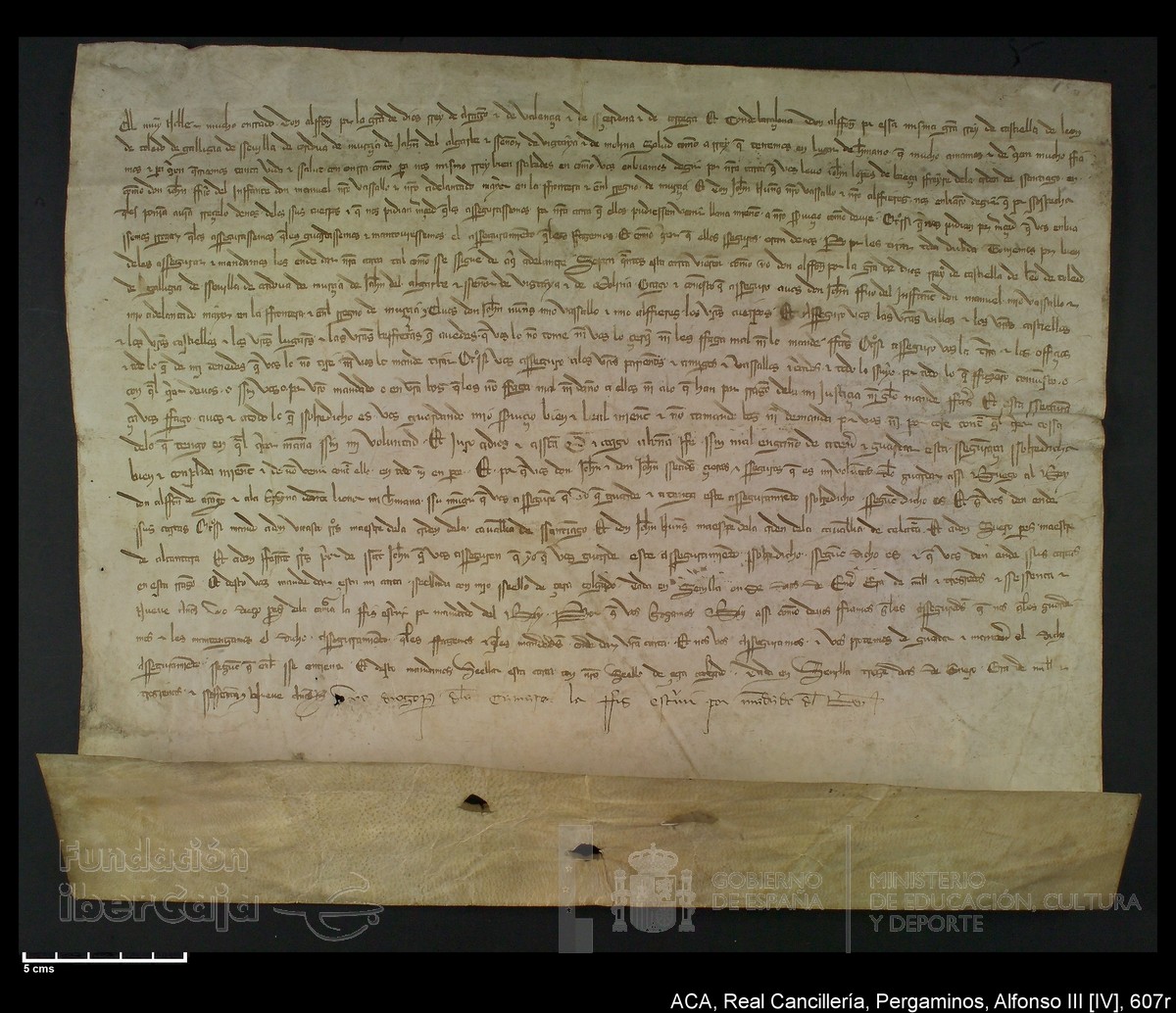 Carp.227,nº607r