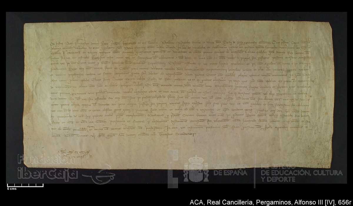 Carp.228,nº656r