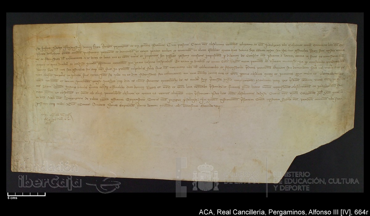 Carp.228,nº664r