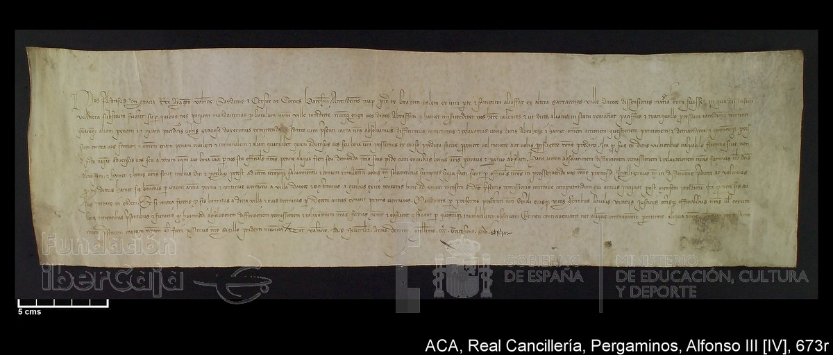 Carp.228,nº673r