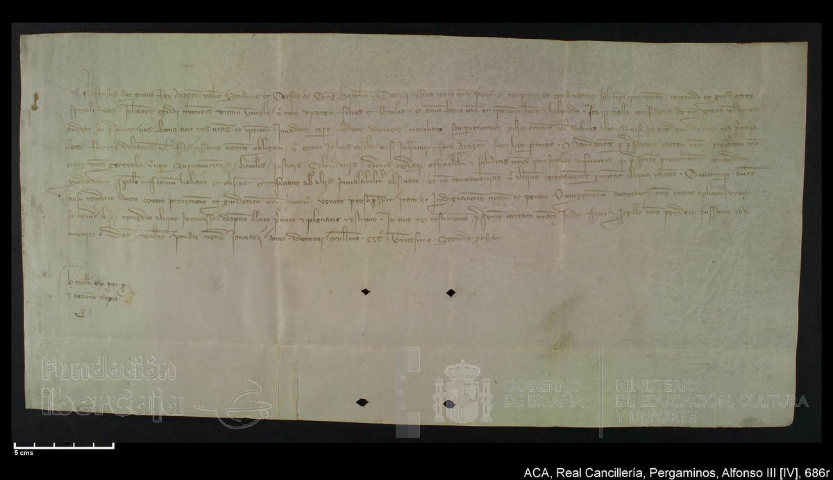 Carp.228,nº686r