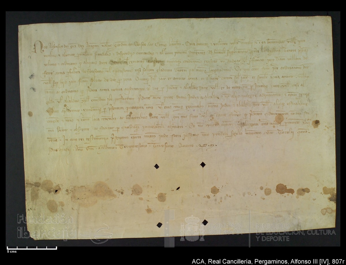 Carp.231,nº807r