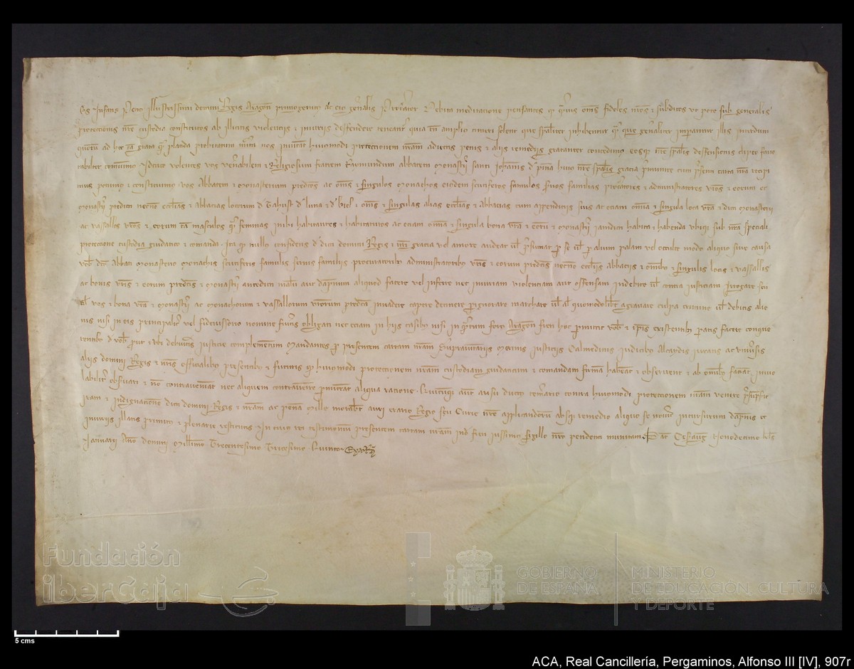 Carp.233,nº907r