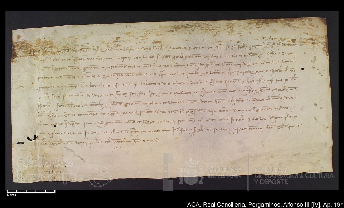 Carp.234,Ap�nd_19r