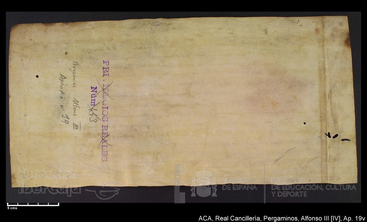 Carp.234,Ap�nd_19v