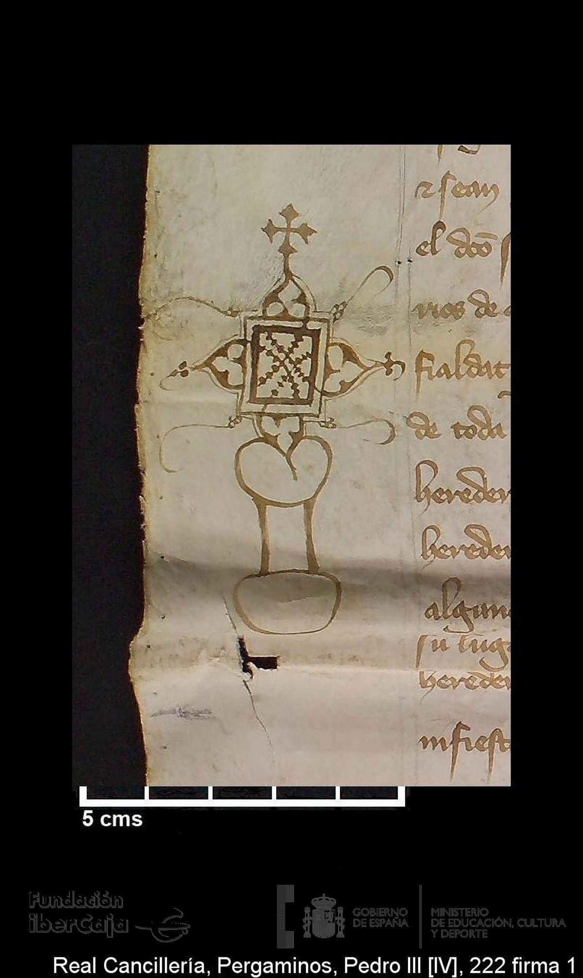 Carp.239,n222 signum 1