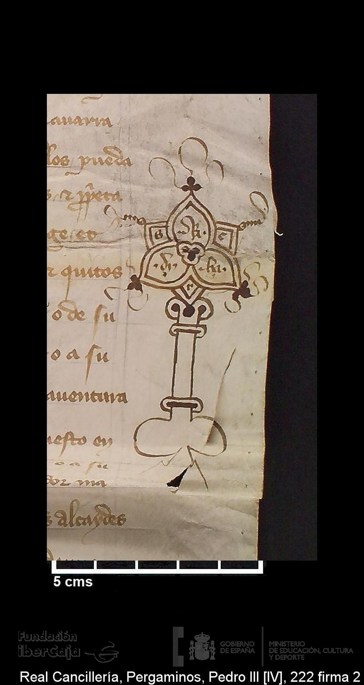 Carp.239,n222 signum 2