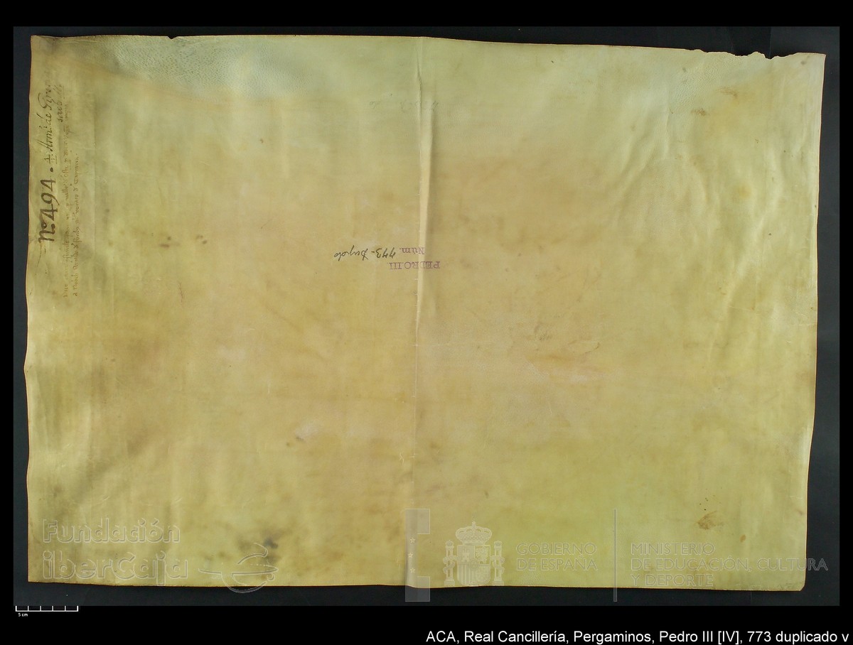 Carp.251,n773 dupl v