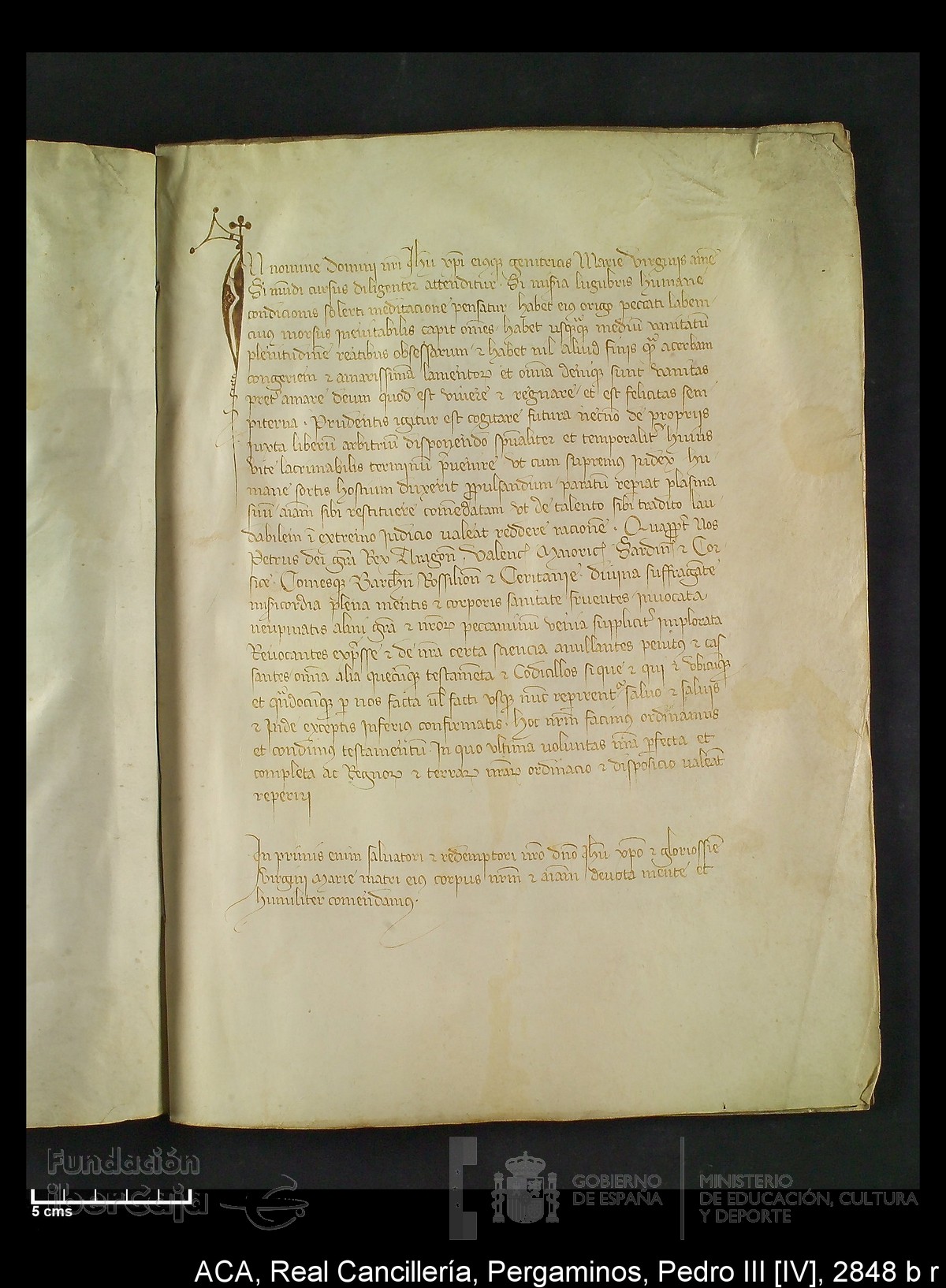 Carp.292,n�2848 b r