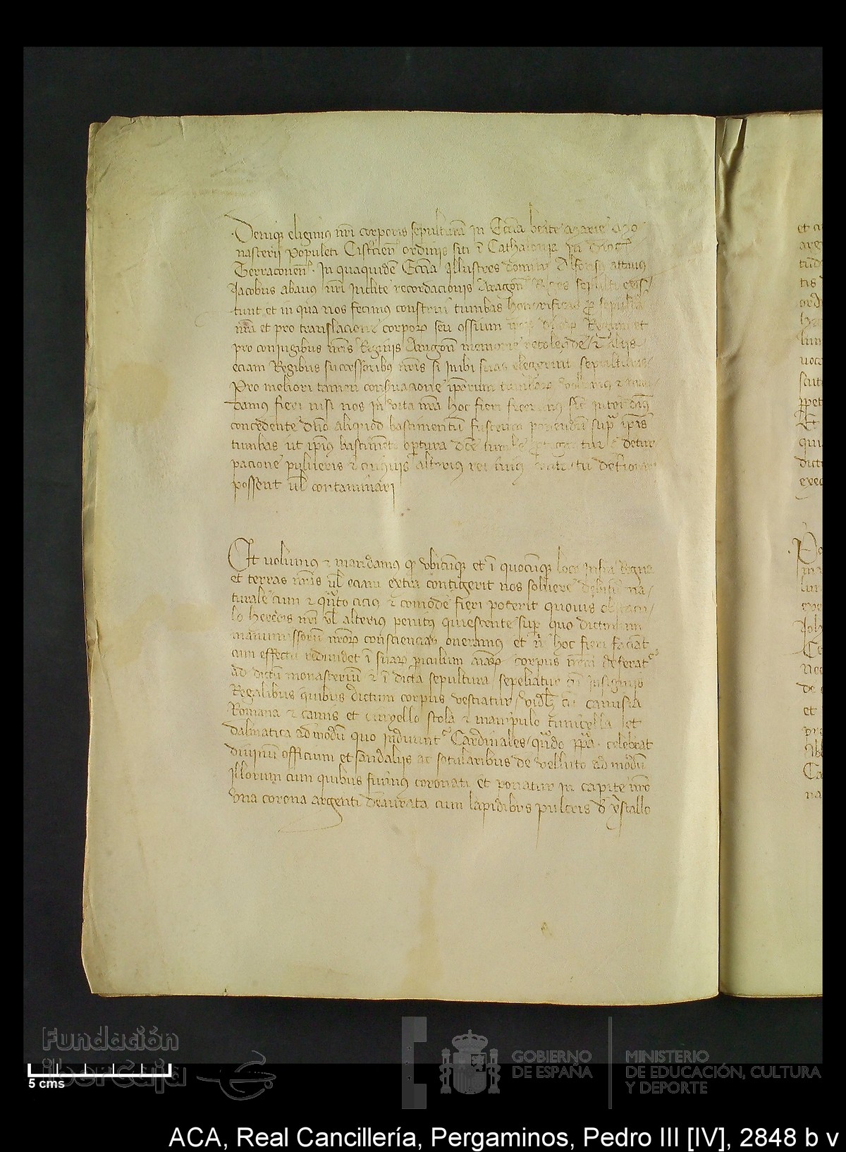 Carp.292,n�2848 b v