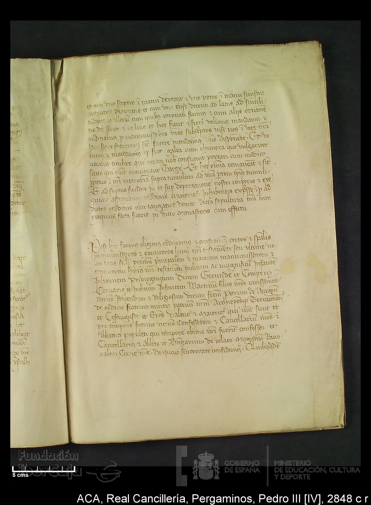 Carp.292,n�2848 c r