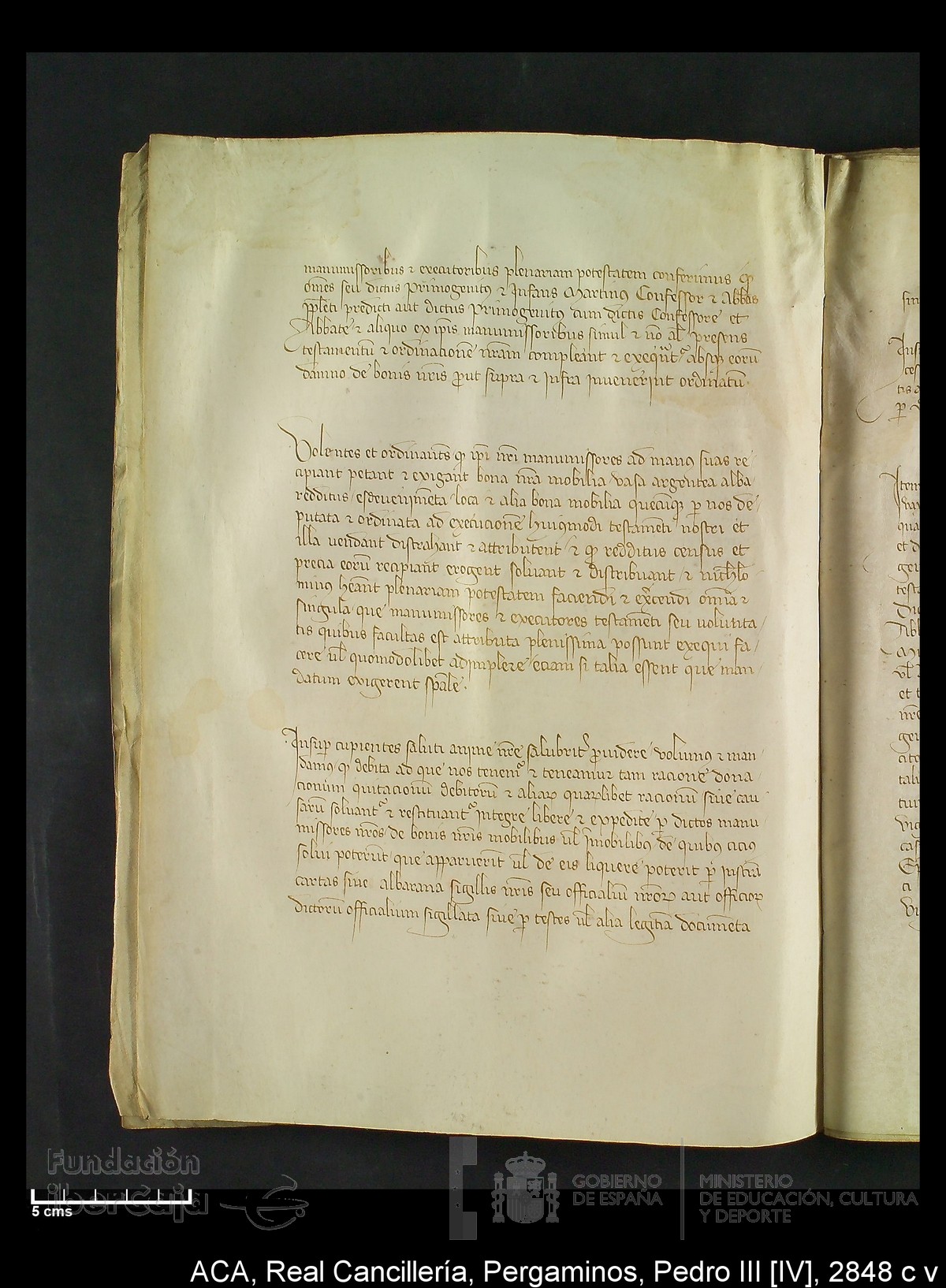 Carp.292,n�2848 c v