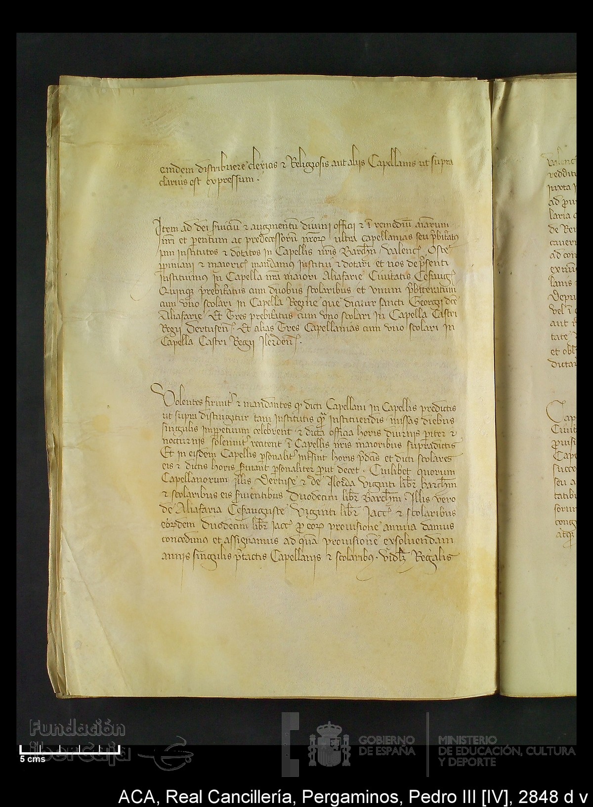 Carp.292,n�2848 d v