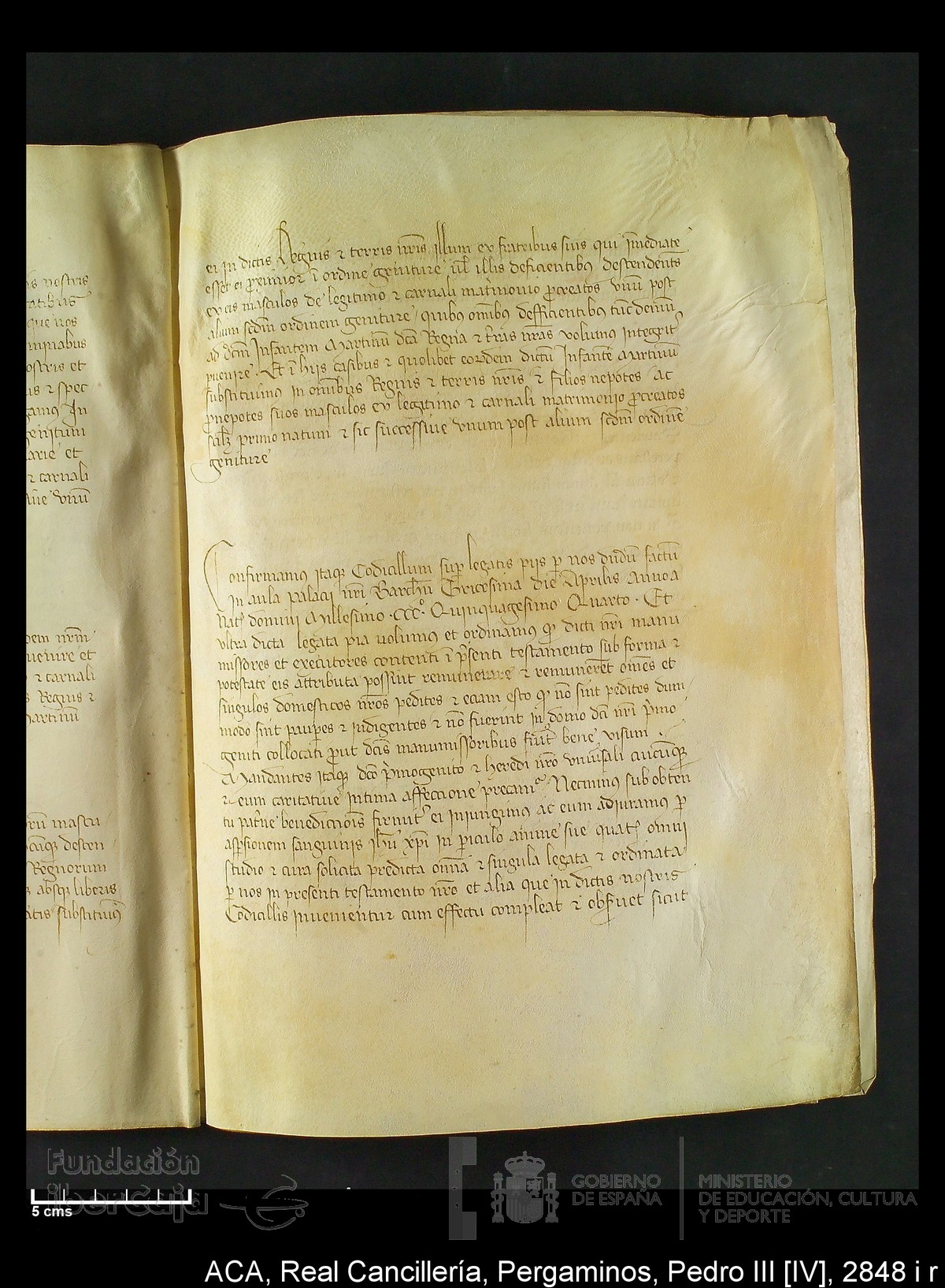 Carp.292,n�2848 i r