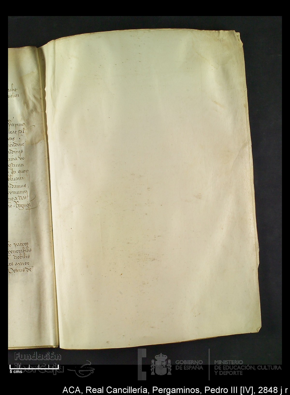 Carp.292,n�2848 j r