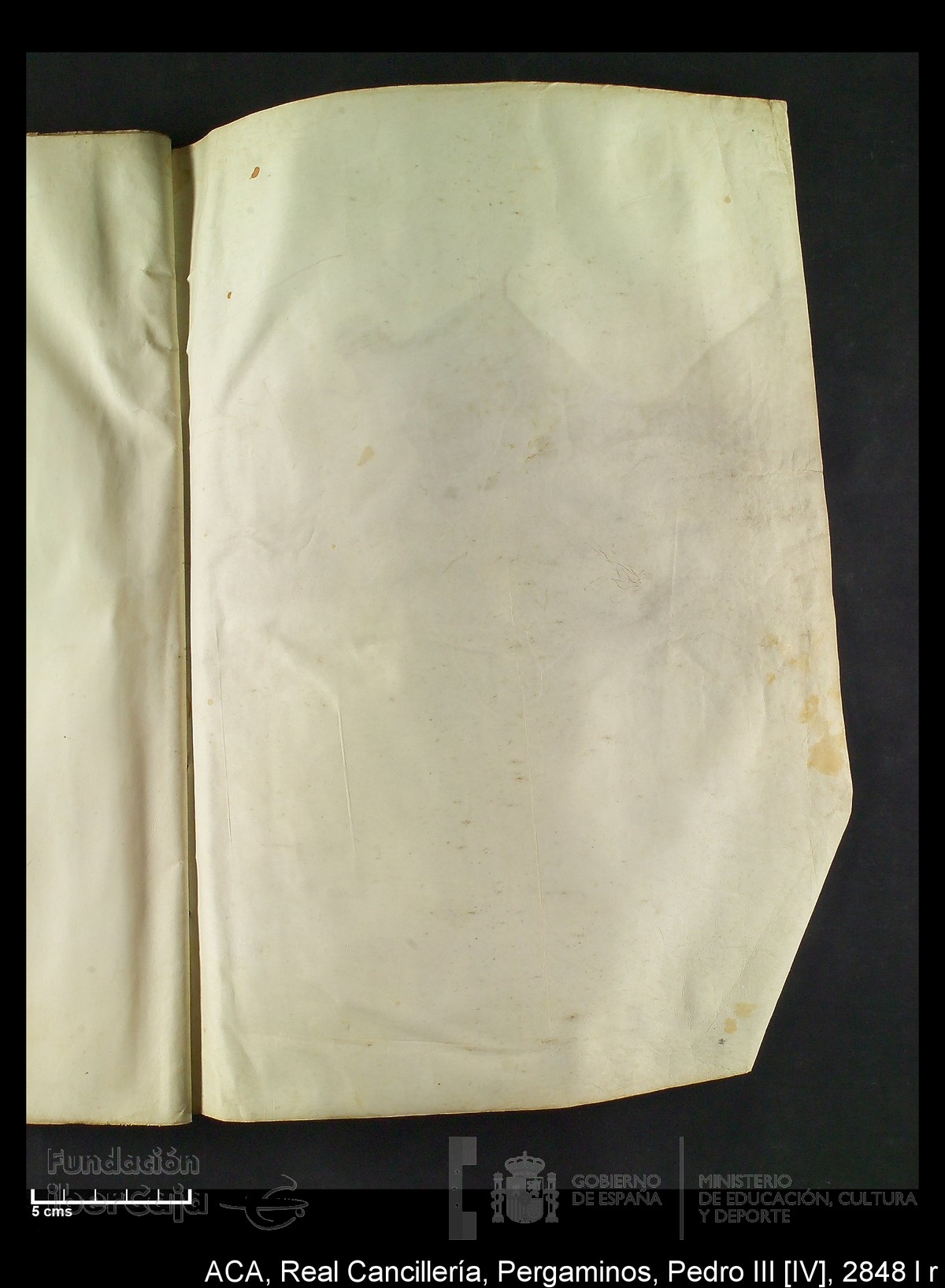 Carp.292,n�2848 l r