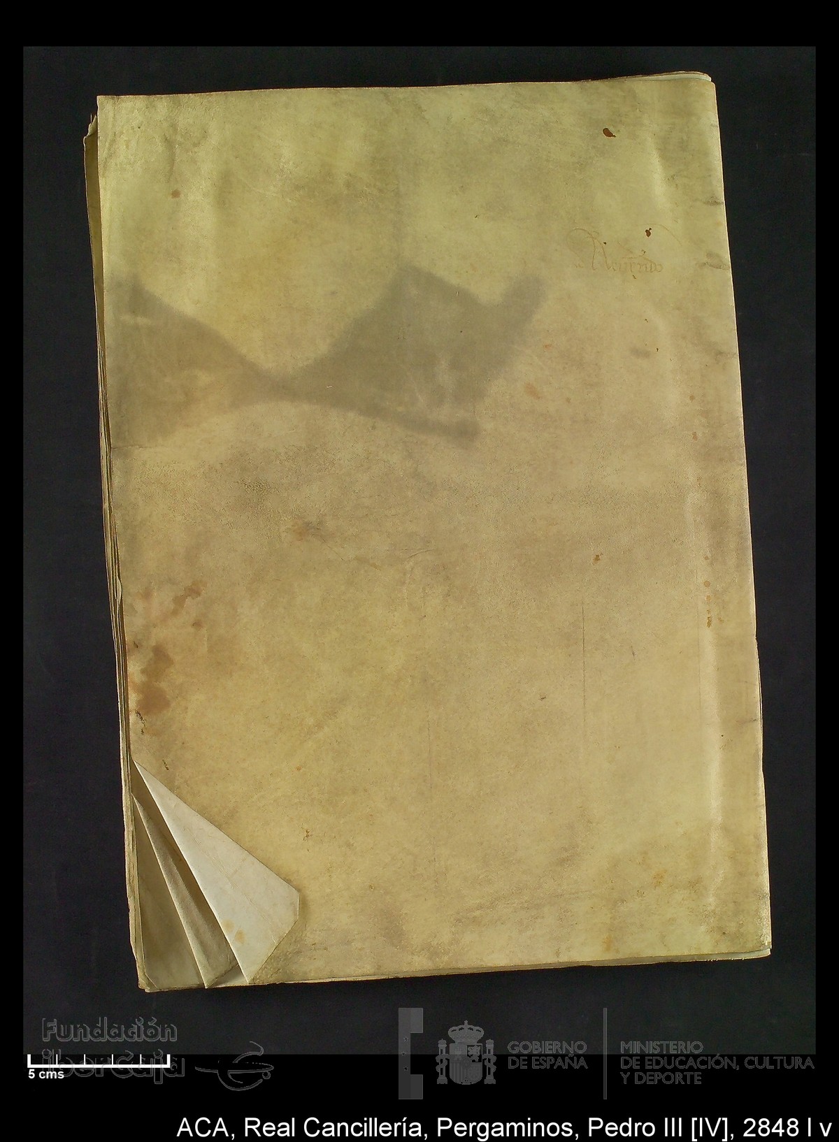 Carp.292,n�2848 l v