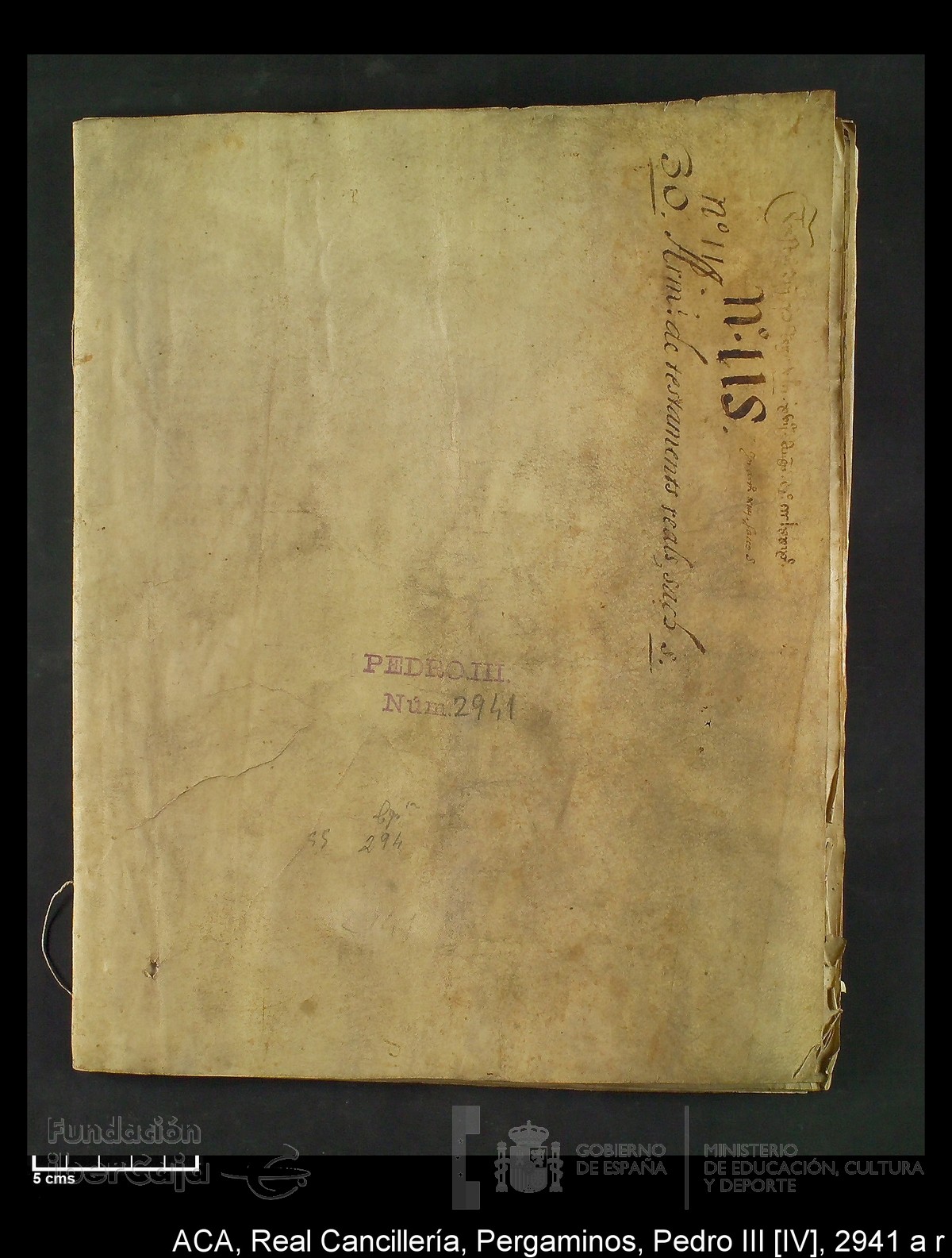 Carp.294,n�2941 a r