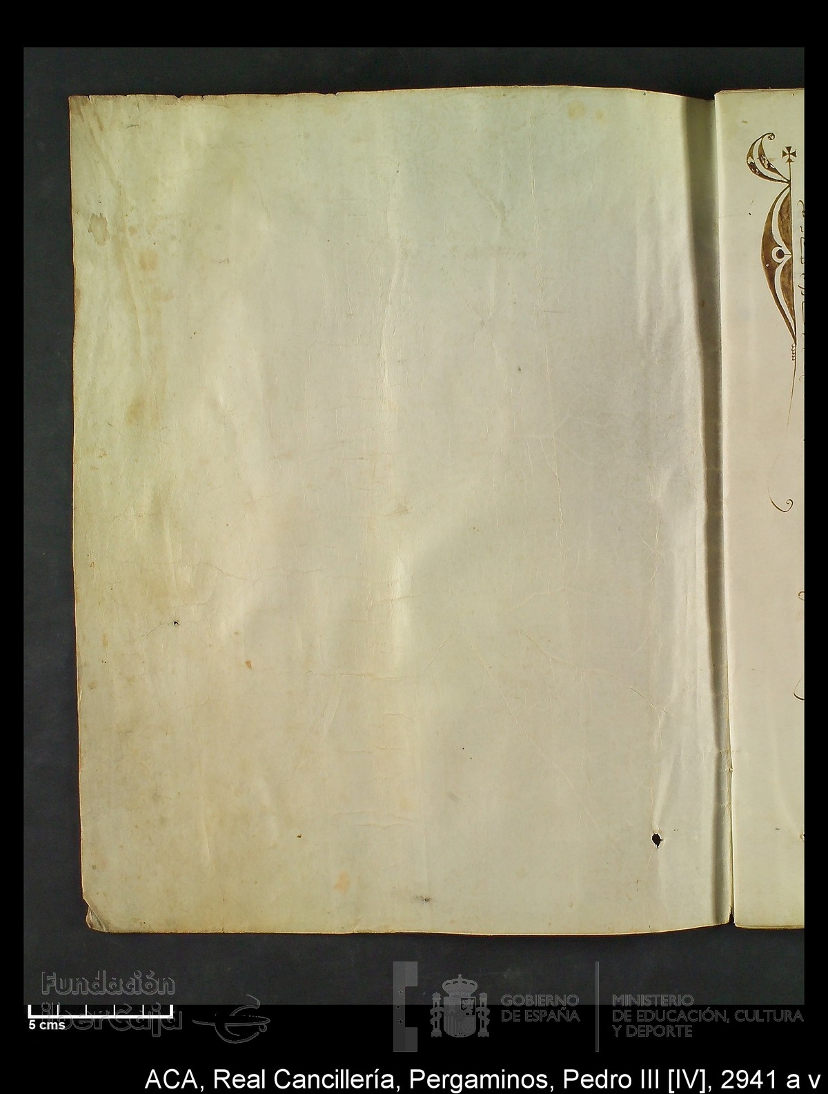 Carp.294,n�2941 a v