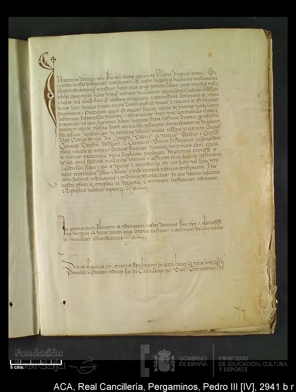 Carp.294,n�2941 b r