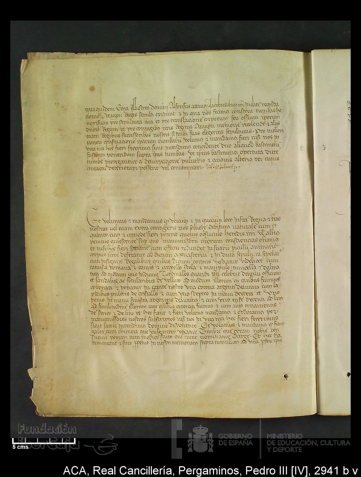 Carp.294,n�2941 b v