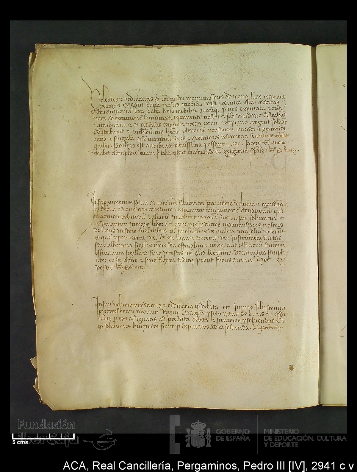 Carp.294,n�2941 c v