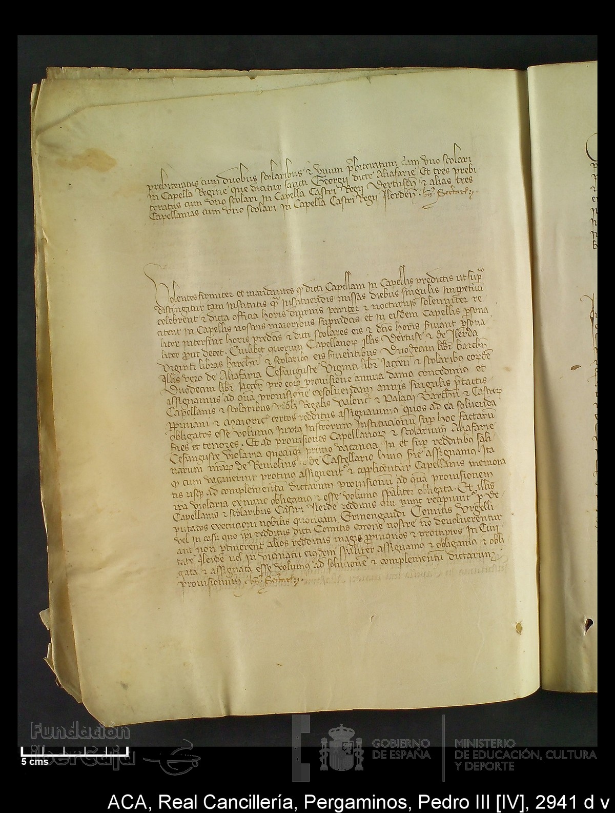 Carp.294,n�2941 d v