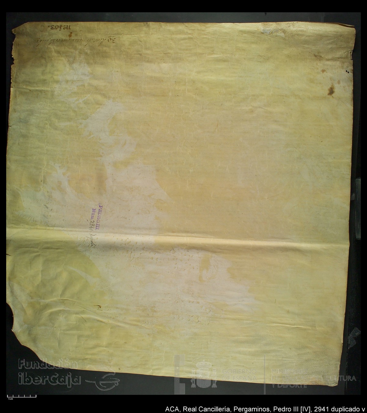 Carp.294,n�2941 dupl v