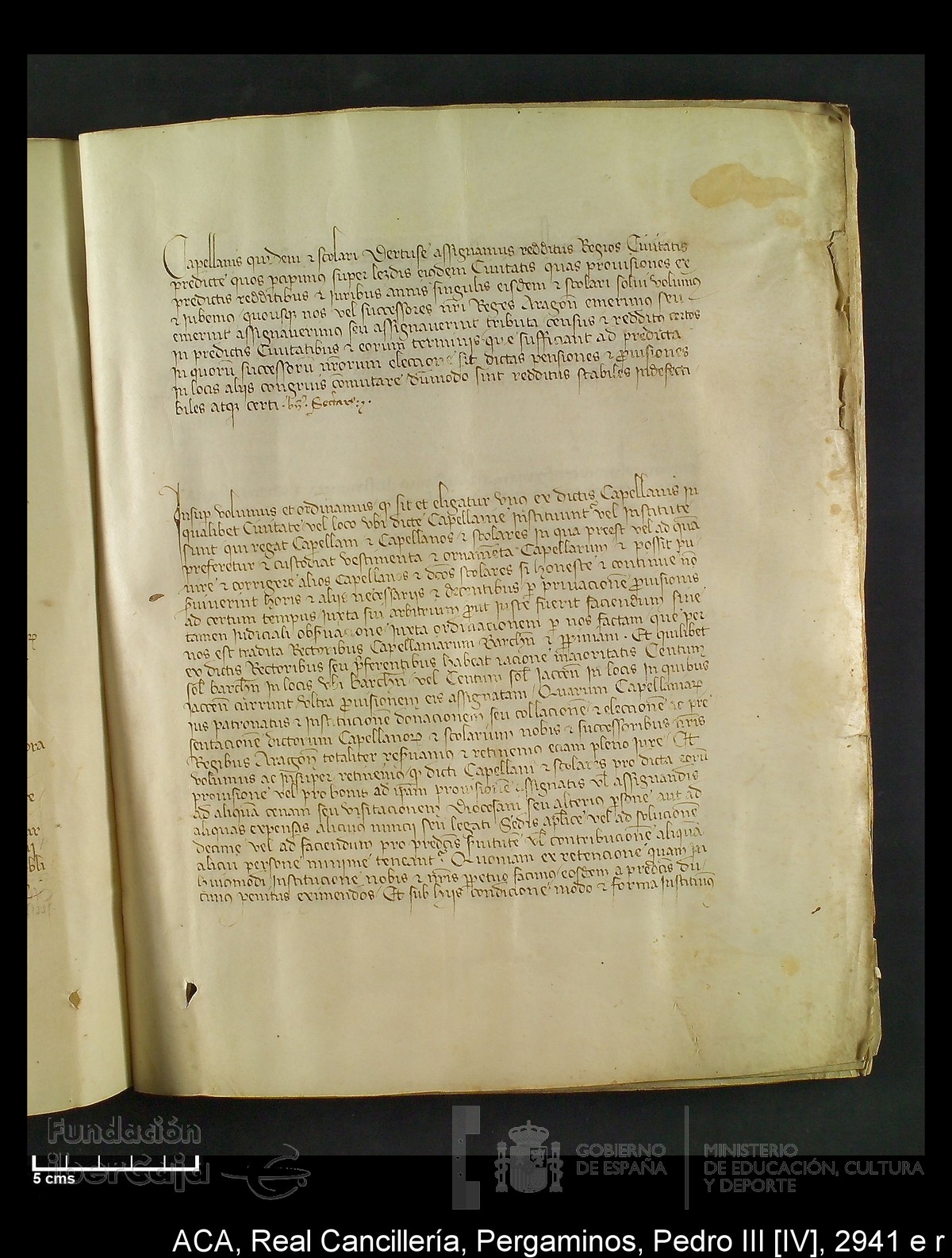 Carp.294,n�2941 e r