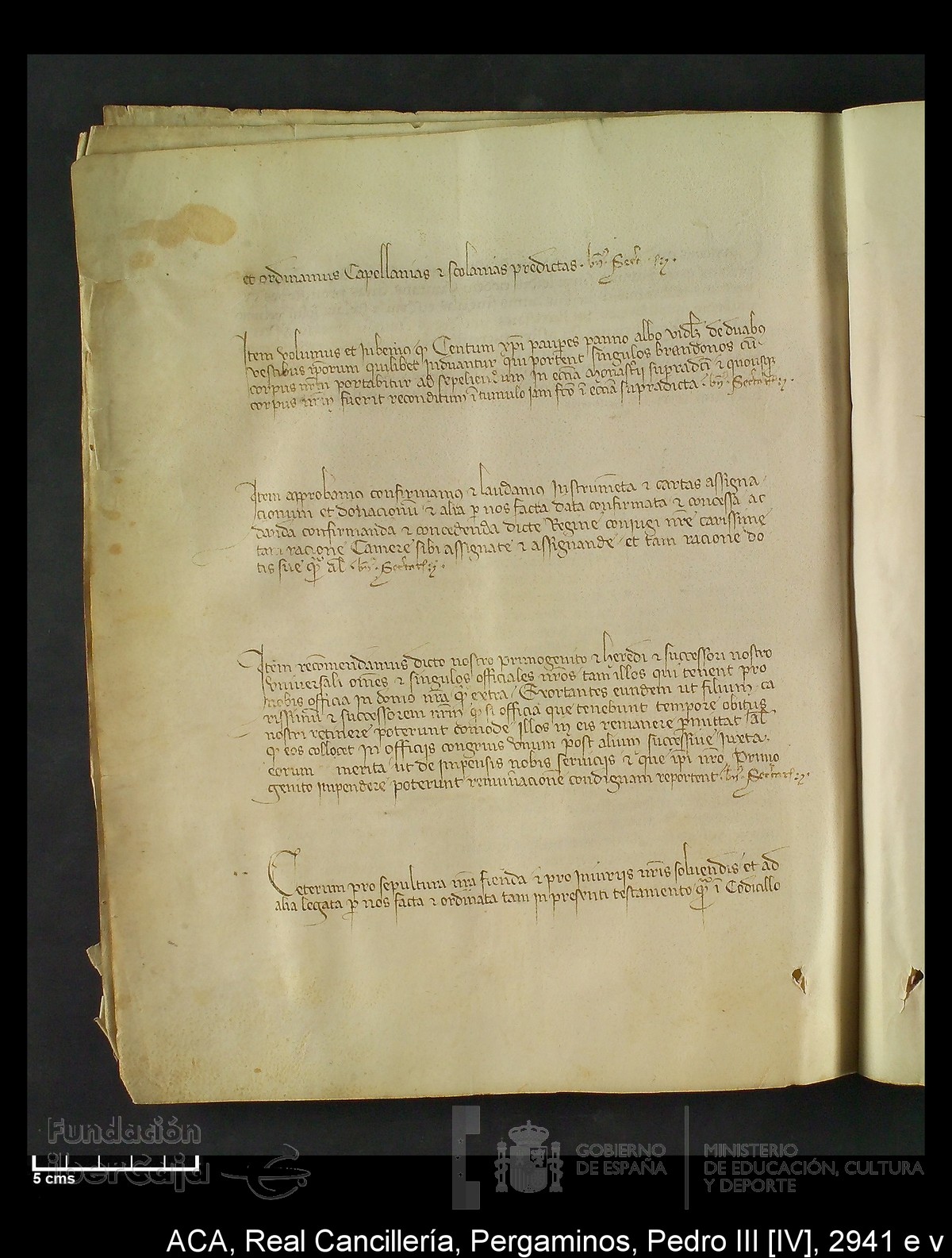 Carp.294,n�2941 e v