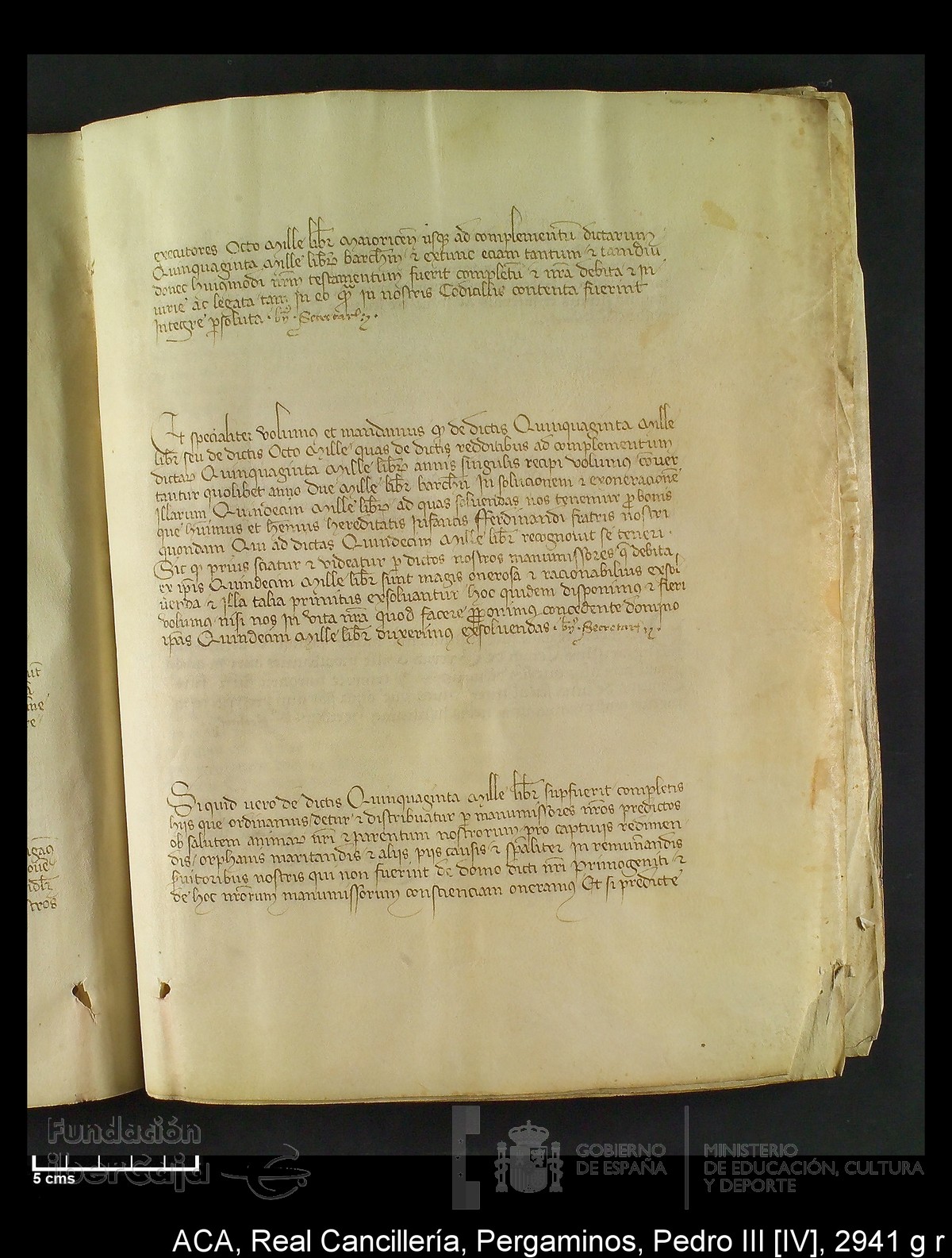 Carp.294,n�2941 g r