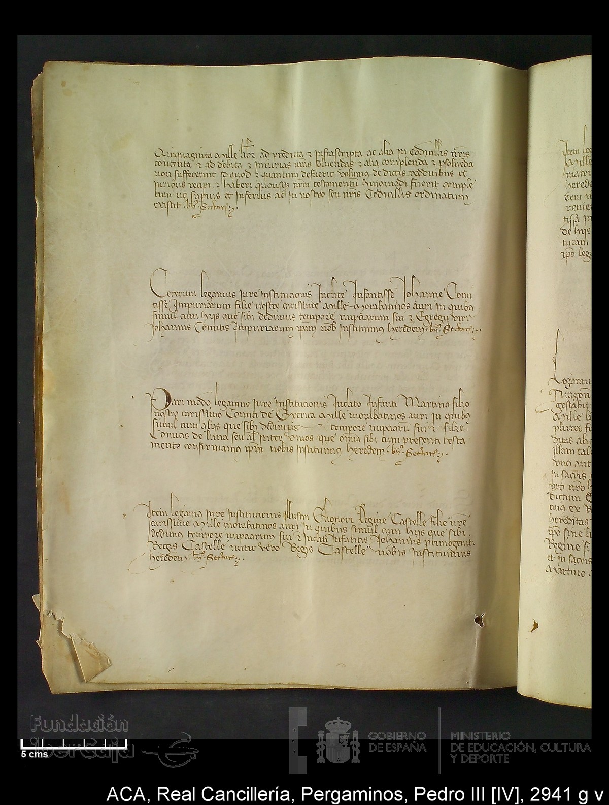 Carp.294,n�2941 g v