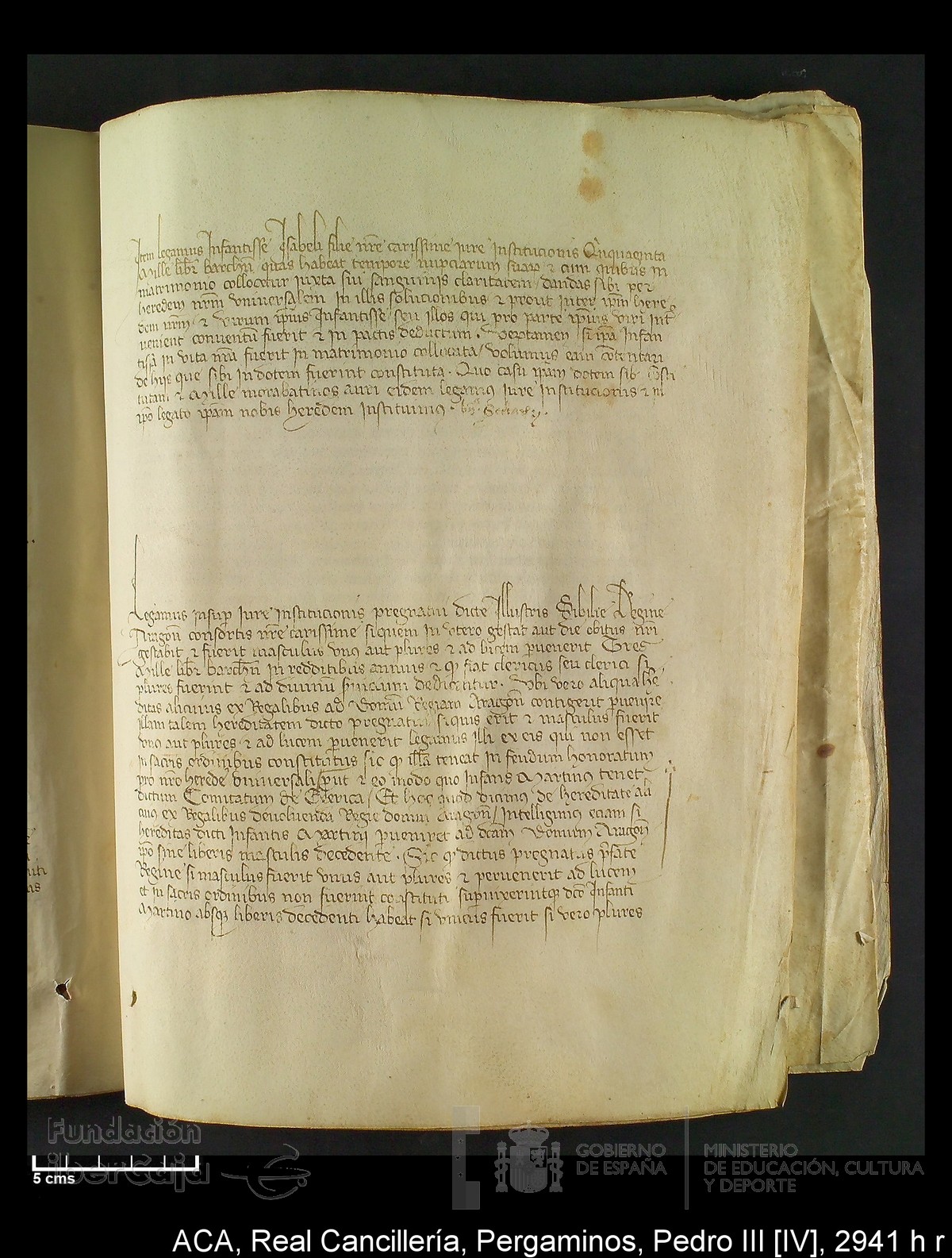 Carp.294,n�2941 h r