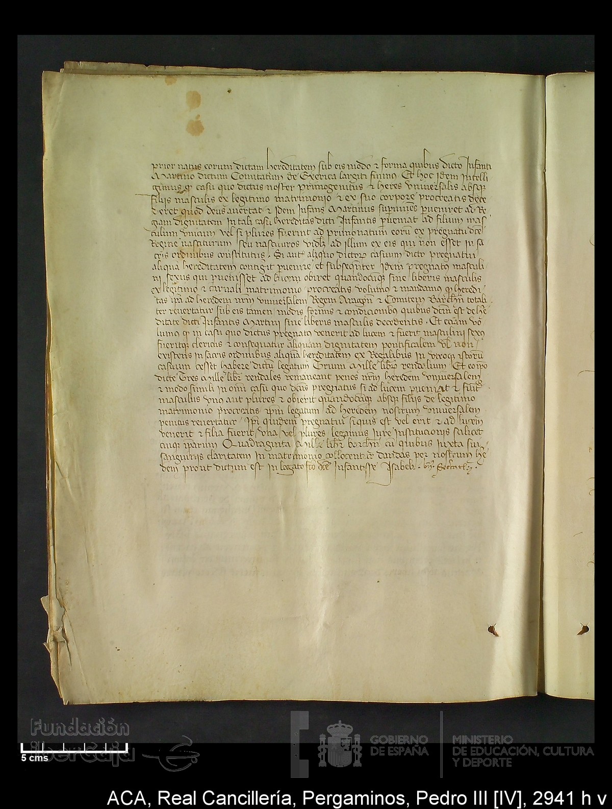 Carp.294,n�2941 h v