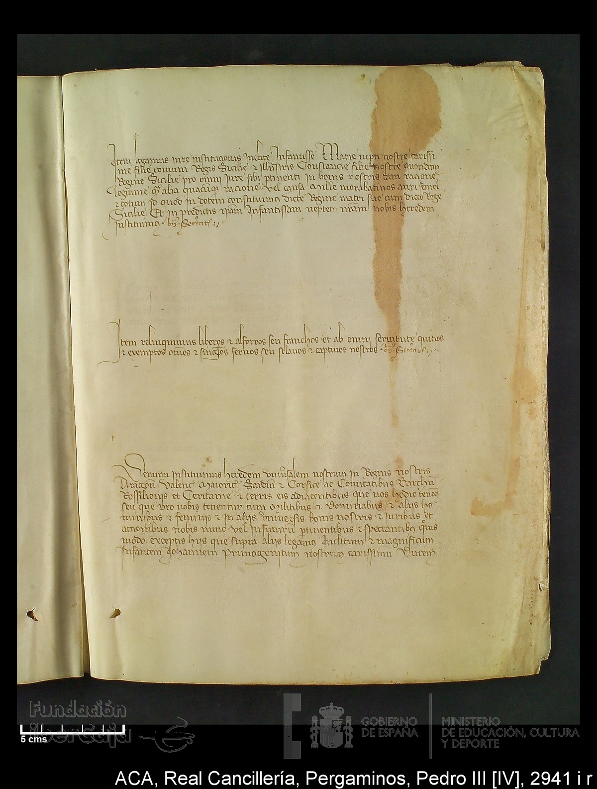 Carp.294,n�2941 i r